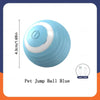 Interactive Cat Ball Toy