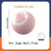 Interactive Cat Ball Toy