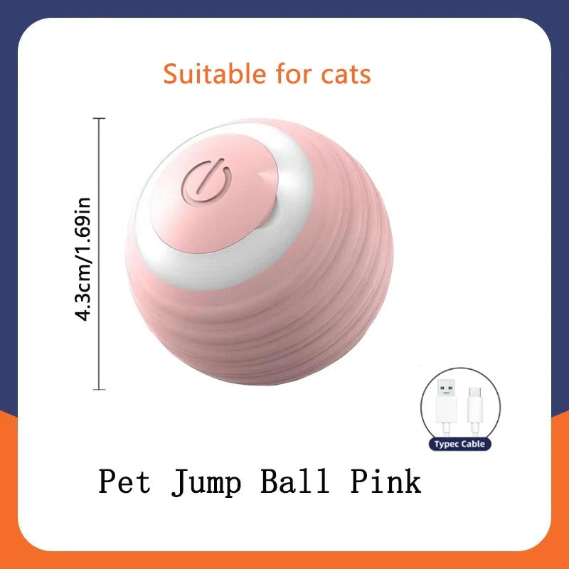 Interactive Cat Ball Toy