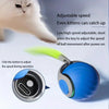 Interactive Cat Ball Toy