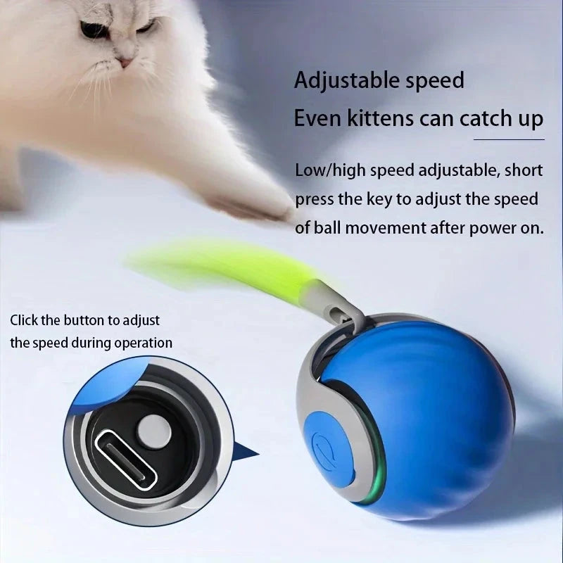 Interactive Cat Ball Toy