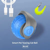 Interactive Cat Ball Toy