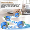 Interactive Cat Ball Toy