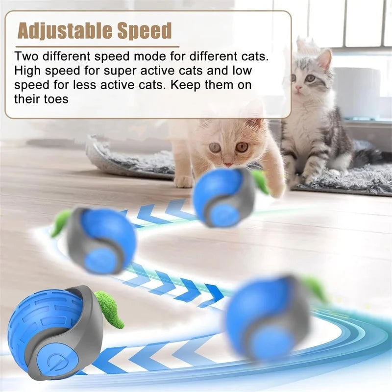 Interactive Cat Ball Toy