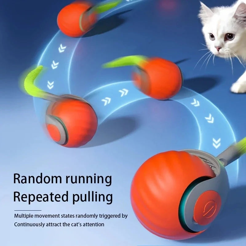 Interactive Cat Ball Toy