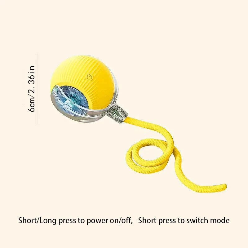 Interactive Cat Ball Toy